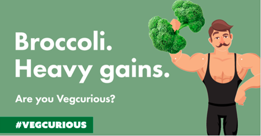 broccoli-blog