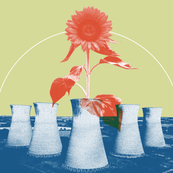 Stylised image of sunflower placed in a smoke stack