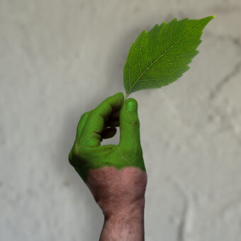 Green washing: A partially painted hand with the texture of a leaf holds a leaf against a concrete background.